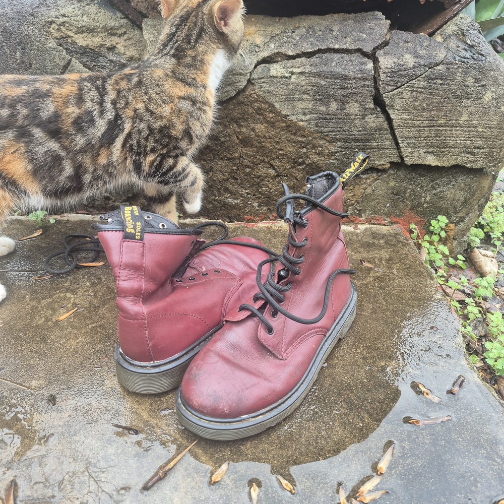 Dr. Martens Red Combat Boots